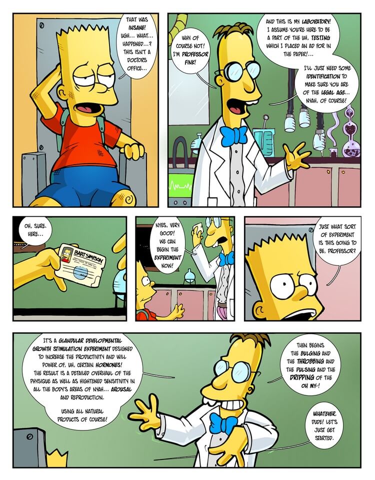 The Simpsons 11