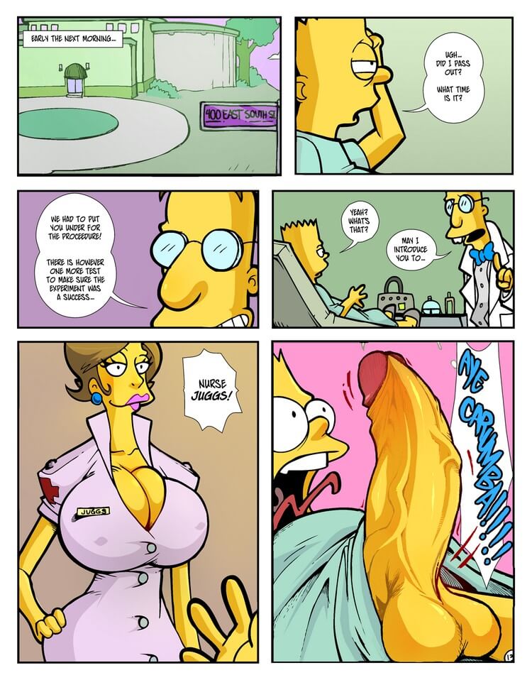 The Simpsons 14