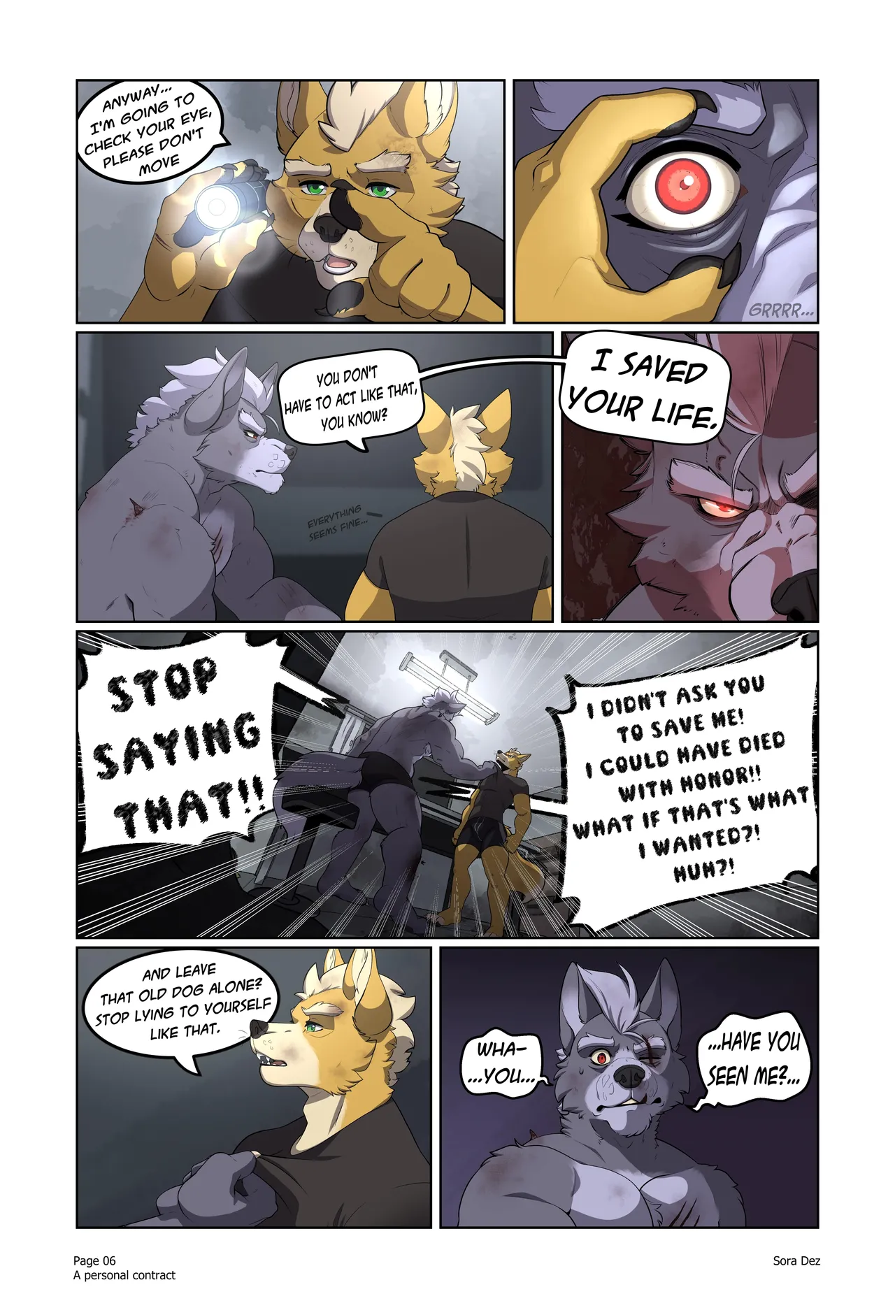 A Personal Contract Sora Dez Wolfox 07