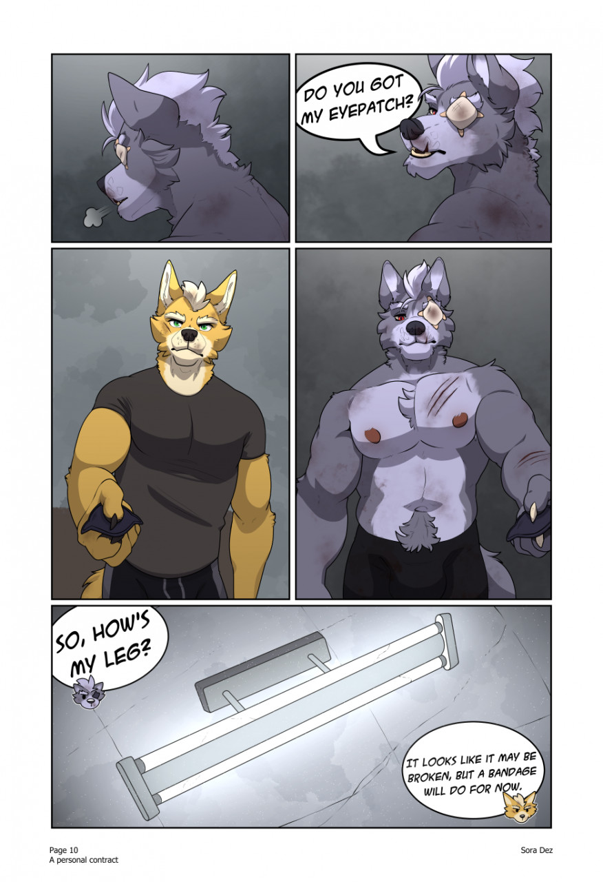 A Personal Contract Sora Dez Wolfox 11