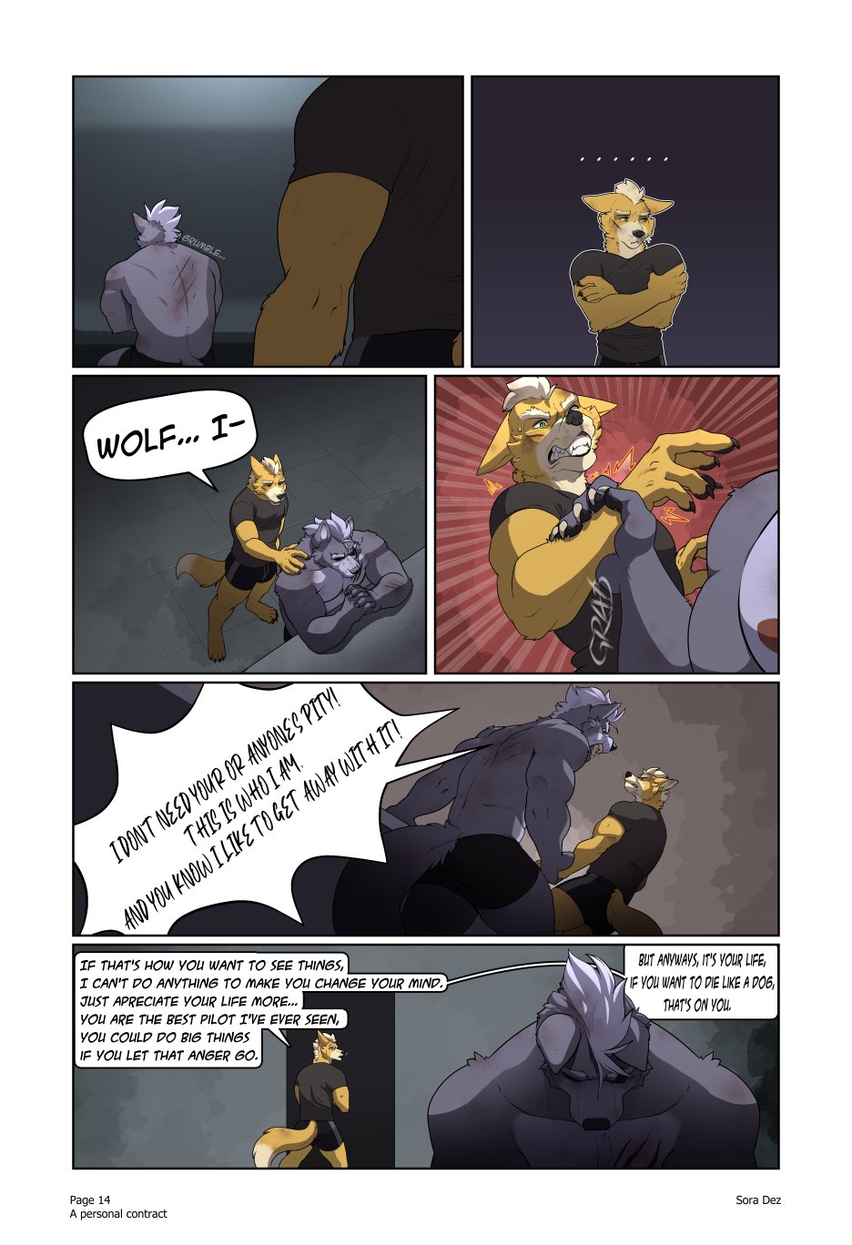 A Personal Contract Sora Dez Wolfox 15