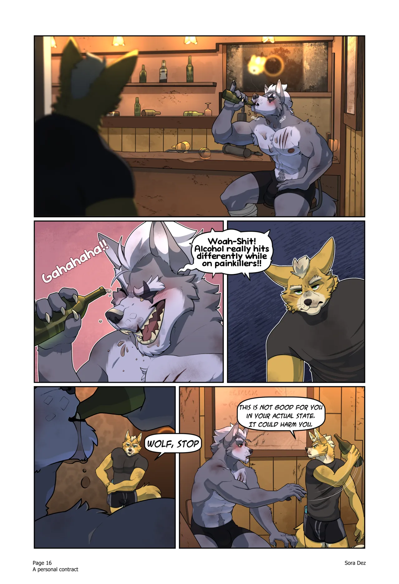 A Personal Contract Sora Dez Wolfox 17