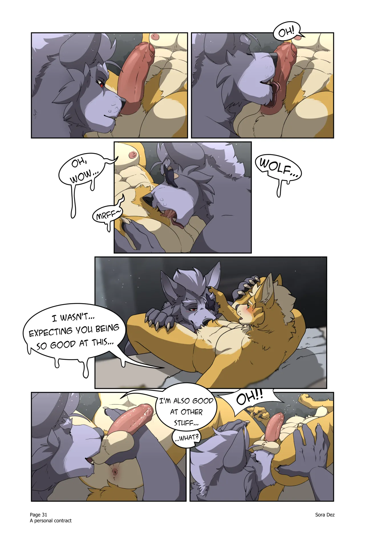A Personal Contract Sora Dez Wolfox 32