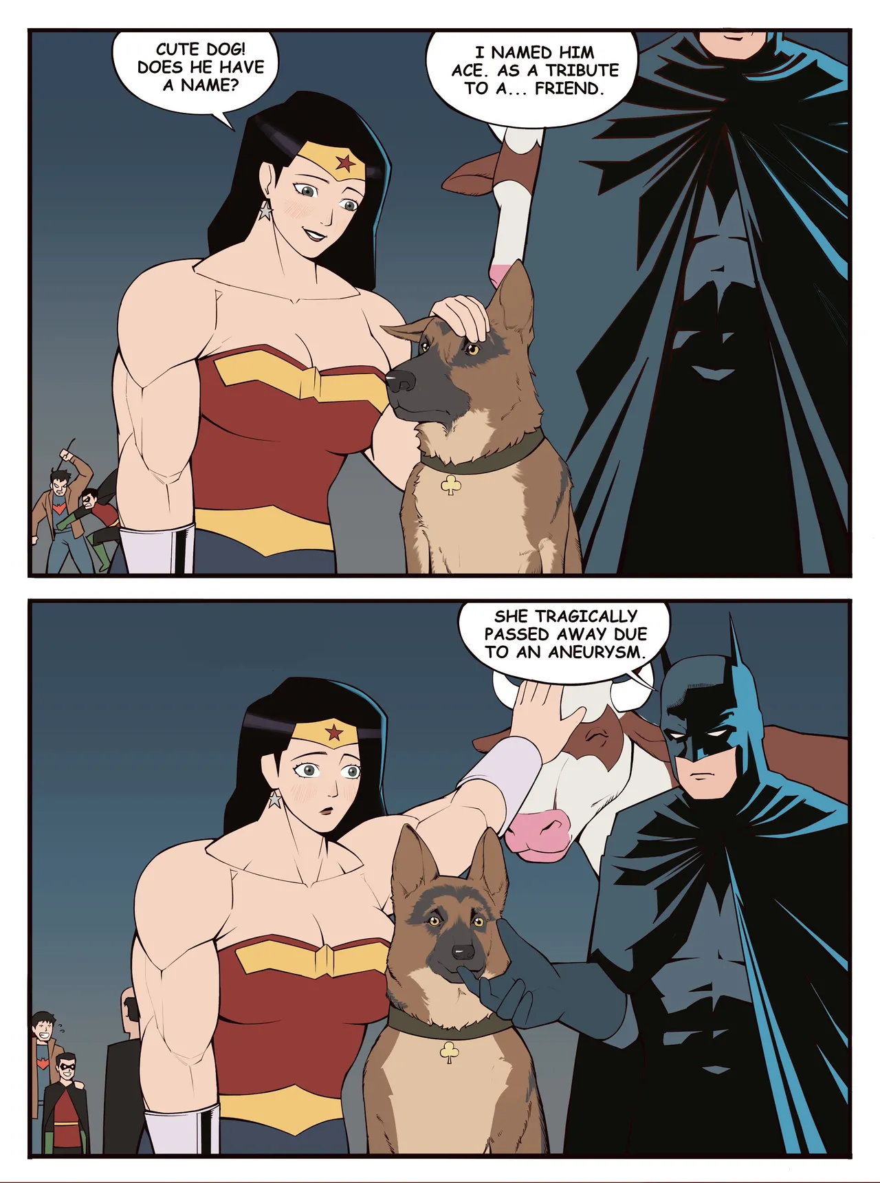 Justice League Bonny 13